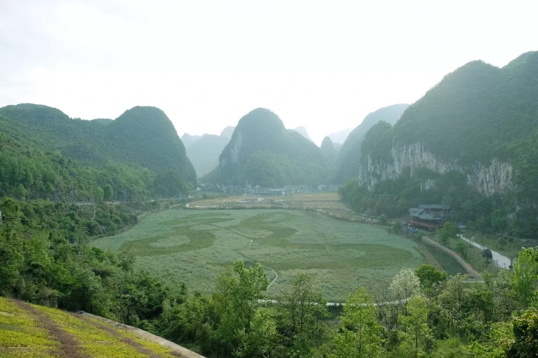 安顺市龙宫河道景观绿化工程