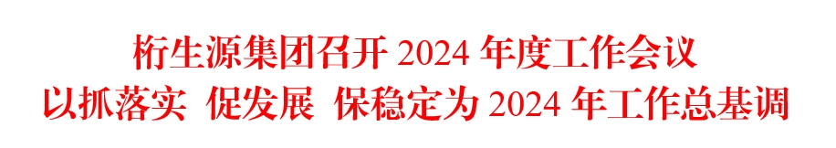 桁生源集团召开2024年度工作会议